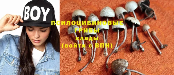ГАЛЛЮЦИНОГЕННЫЕ ГРИБЫ Абдулино