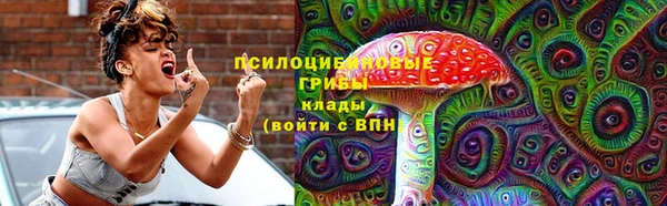 шишки Алзамай