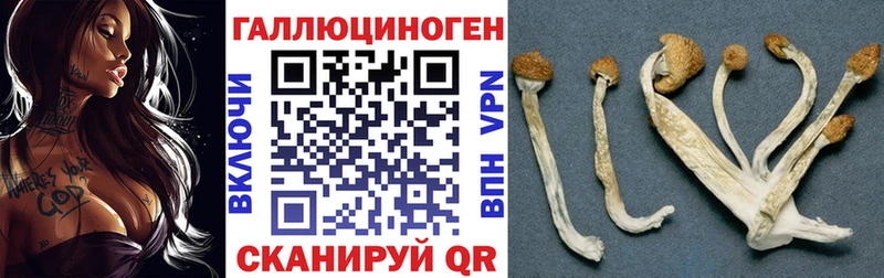 Псилоцибиновые грибы MAGIC MUSHROOMS Красновишерск